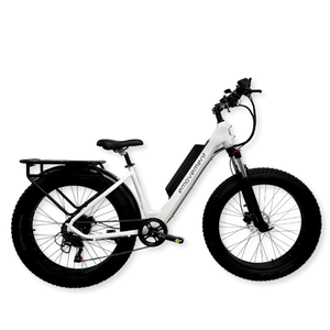 E Movement Aries V4.2 Fat Tyre Electric Mountain Bike 250W/500W  emovement 250W White 
