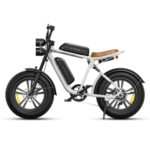 Engwe M20 Fat Tyre Electric Bike 750W  engwe Dual Battery - 13Ah x 2 White 