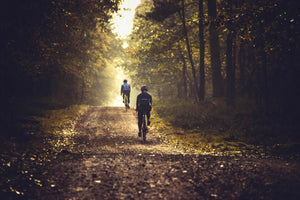 Cyclists ride through a sunlit forest trail during autumn, enjoying a scenic off-road adventure on gravel bikes.