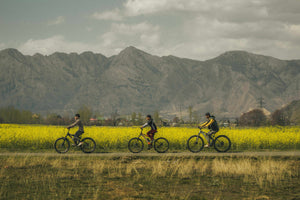 Three cyclists riding electric bikes past a blooming yellow mustard field with mountain views in spring, promoting Glide & Gear’s seasonal e-bike sale