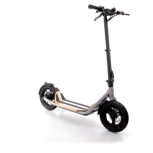 8TEV B12 Electric Scooter 250W  8tev   