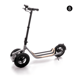 8TEV C12 Roam 3-Wheeler Electric Scooter Black 250W  8tev   