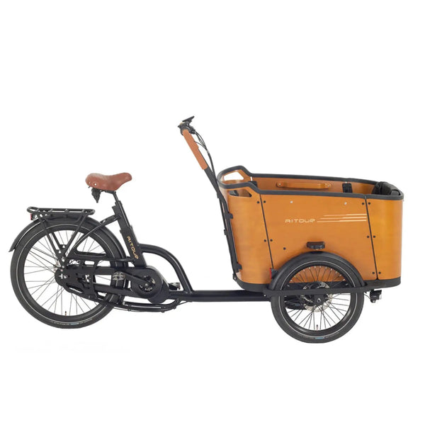 Aitour Family C Electric Cargo Bike 250W  aitour   