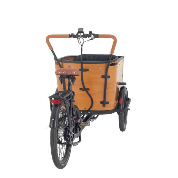 Aitour Family C Electric Cargo Bike 250W  aitour   
