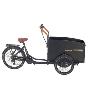 Aitour Starter Electric Cargo Bike 250W  aitour   