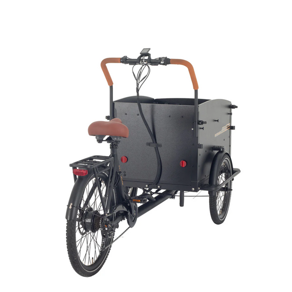 Aitour Starter Electric Cargo Bike 250W  aitour   