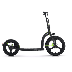 Argento Active Bike Electric Scooter 350W Black  argento Black  