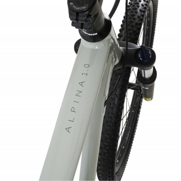 Claud Butler Alpina 1.0 Mountain Bike Nitro Grey  claud butler   