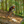 Claud Butler Wrath 1.0 Cues V2 Electric Mountain Bike 250W Grey [2025]  claud butler   