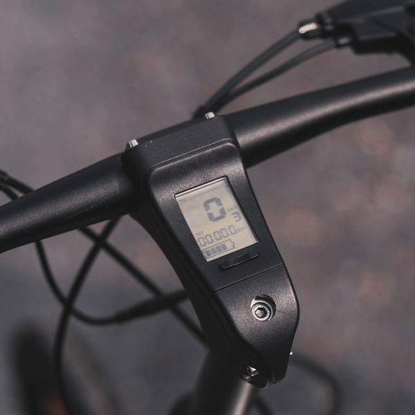 Cruzaa Electric Bike 240W Built-in Speakers & Bluetooth  cruzaa   