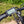 Dawes Spire 1.0 Step Through Hybrid Electric Bike 250W Black  dawes   