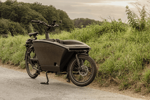 An electric cargo bike is parked on a rural pathway surrounded by lush green grass and a backdrop of dense trees. The bike features a large front cargo box, sturdy frame, and wide tires, designed for carrying goods or passengers. 