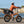 Engwe EP-2 Boost 250W Folding All-Terrain E-Bike – 120KM Range engwe
