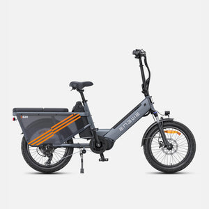 Engwe LE20 250W Step-Through Cargo Electric Bike with Torque Sensor engwe Grey Dual Battery LE20 Standard