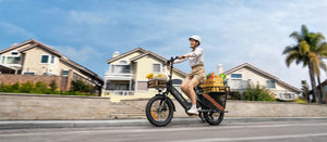 The Engwe LE20 cargo electric bike fully loaded with groceries, highlighting its versatility for urban transport.