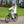 Hygge Aarhus Commuter Electric Bike | 250W Motor, 80km Range, Shimano 8-Speed hygge